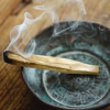 Sveti les - Palo Santo - Image 2