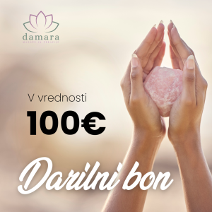 Vrednostni bon 100€